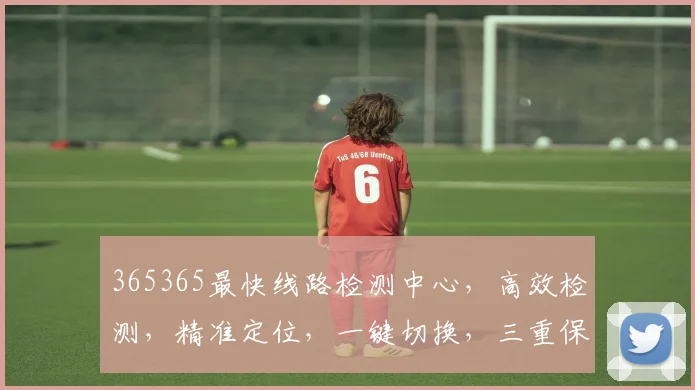 365365最快线路检测中心，高效检测，精准定位，一键切换，三重保障，畅享无忧