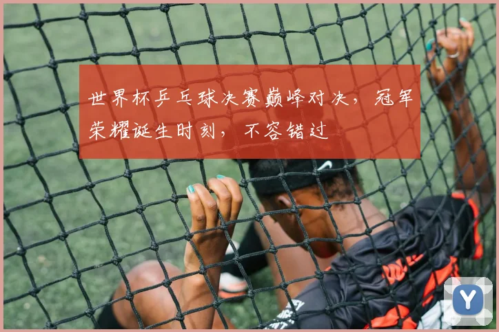 世界杯乒乓球决赛巅峰对决，冠军荣耀诞生时刻，不容错过