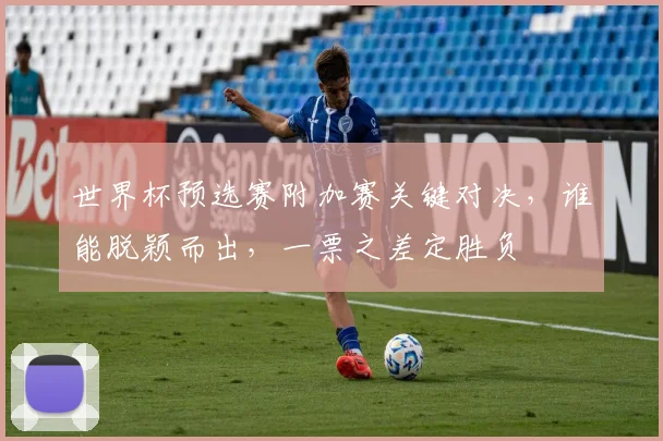 世界杯预选赛附加赛关键对决，谁能脱颖而出，一票之差定胜负