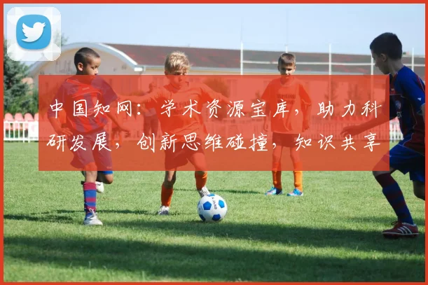中国知网：学术资源宝库，助力科研发展，创新思维碰撞，知识共享平台，科研必备工具。